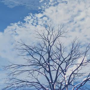 国产乱妇交换做爰XXXⅩ麻豆
