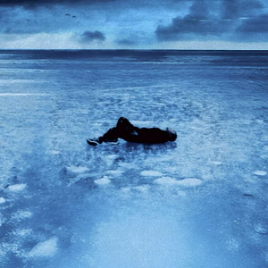 国产乱妇交换做爰XXXⅩ麻豆
