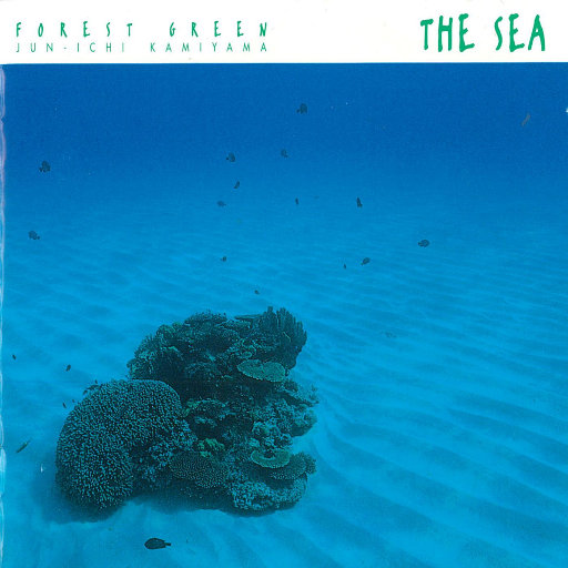 国产乱妇交换做爰XXXⅩ麻豆
